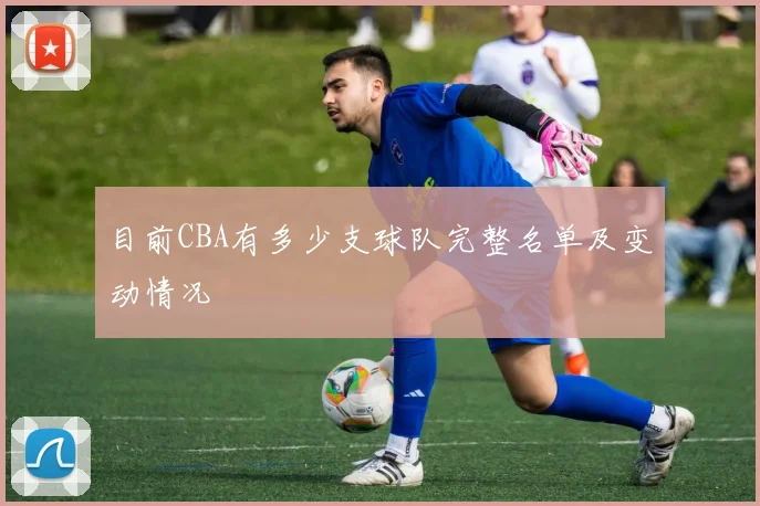 目前CBA有多少支球队完整名单及变动情况