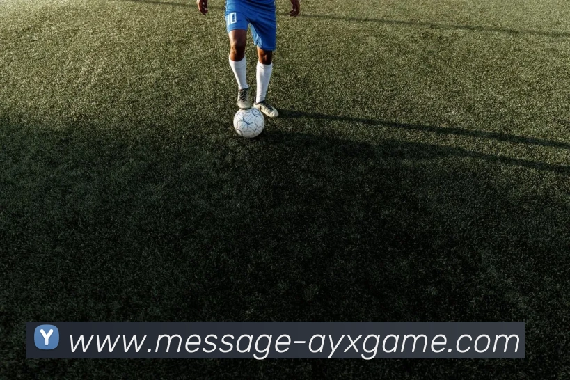 爱游戏全站App 爱游戏全站App